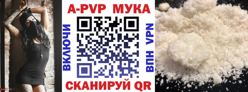 магазин продажи наркотиков  Шали  кракен как войти  A PVP СК КРИС 