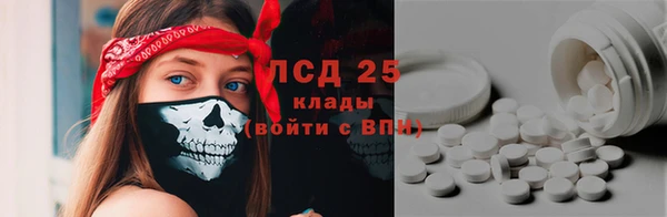 СК Алексин