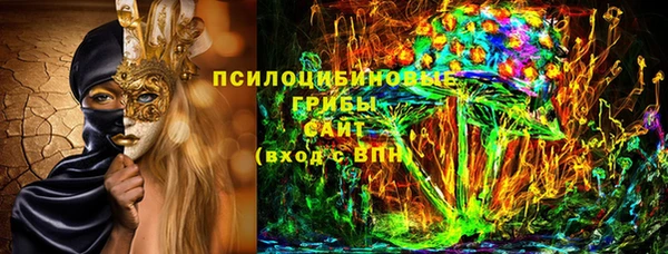 ПСИЛОЦИБИНОВЫЕ ГРИБЫ Алзамай