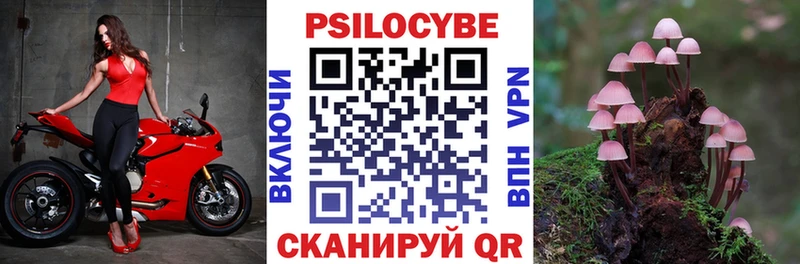 Галлюциногенные грибы Psilocybe  Шали 