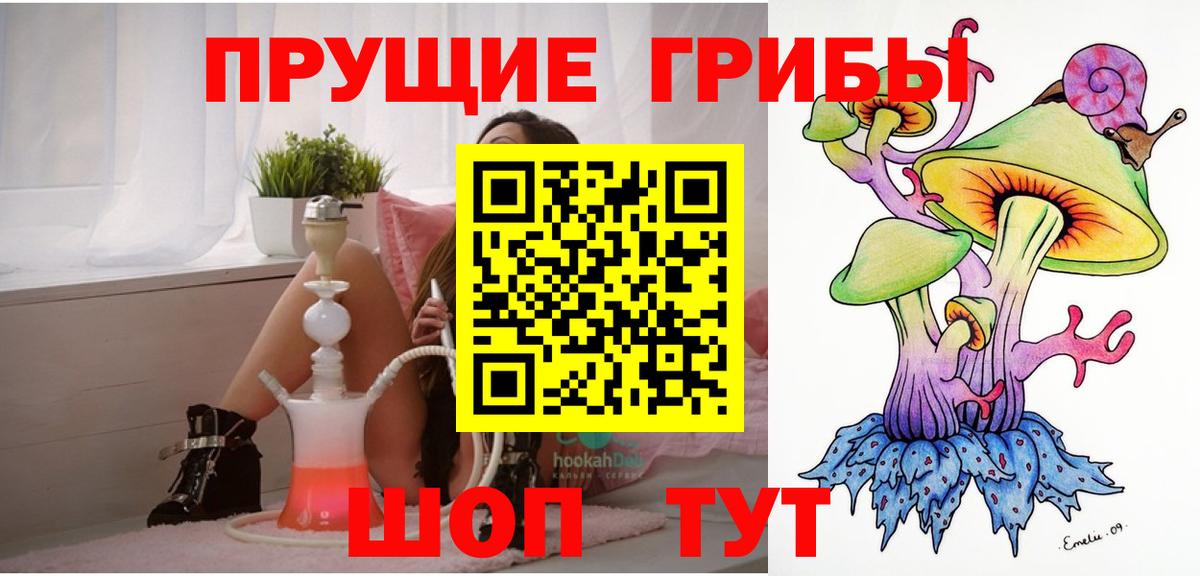 Галлюциногенные грибы прущие грибы  Вход с VPN  Шали 